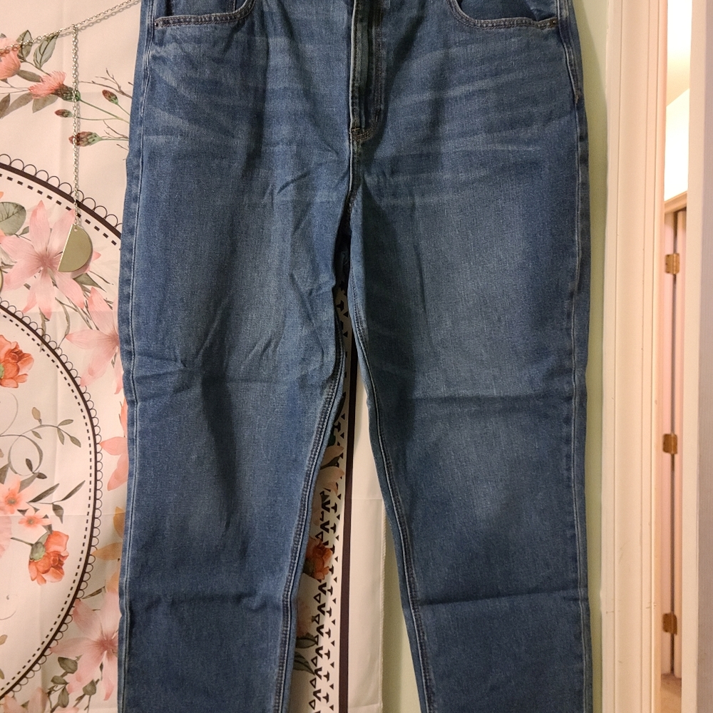 AE Mom Jeans